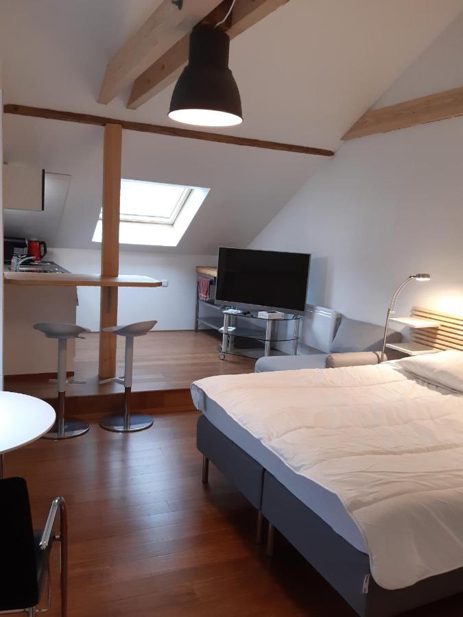 Loft Studio Avec Charme Et Authenticite Altkirch Ngoại thất bức ảnh